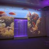 Проекционный дизайн "Виртуальная реальность" базовый комплект 500 анимаций - «globural.ru» - Ростов-на-Дону