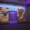 Проекционный дизайн "Виртуальная реальность" расширенный комплект 1000 анимаций - «globural.ru» - Ростов-на-Дону