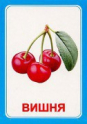 Логопедические карточки и картинки для развития речи - «globural.ru» - Ростов-на-Дону