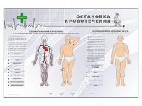 Электрифицированный стенд "Остановка кровотечения" - «globural.ru» - Ростов-на-Дону