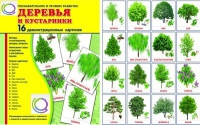 Демонстрационные карточки "Деревья и кустарники" - «globural.ru» - Ростов-на-Дону