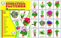 Демонстрационные карточки "Комнатные растения" - «globural.ru» - Ростов-на-Дону