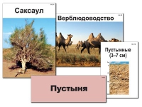 Модель-аппликация "Природные зоны России" - «globural.ru» - Ростов-на-Дону