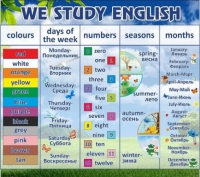 Стенд "We study english" - «globural.ru» - Ростов-на-Дону
