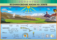 Таблица Возникновение жизни на Земле 1000*1400 винил - «globural.ru» - Ростов-на-Дону