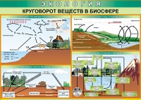 Таблица Круговорот веществ в биосфере 1000*700 винил - «globural.ru» - Ростов-на-Дону