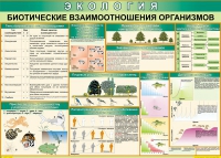 Таблица Биотические взаимоотношения организмов 1000*700 (винил) - «globural.ru» - Ростов-на-Дону