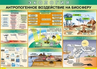 Таблица Антропогенное воздействие на биосферу 1000*700 винил - «globural.ru» - Ростов-на-Дону
