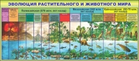 Стенд "Эволюция растительного и животного мира" - «globural.ru» - Ростов-на-Дону