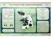 Электрифицированный стенд "Устройство микроскопа и правила работы c ним" - «globural.ru» - Ростов-на-Дону