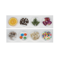 Игра "СенсиБар" - «globural.ru» - Ростов-на-Дону