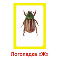 Логопедка "Ж" (логопедические карточки) - «globural.ru» - Ростов-на-Дону
