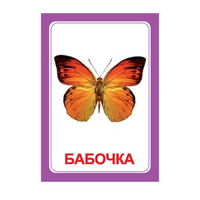 Логопедка "Ч" (логопедические карточки) - «globural.ru» - Ростов-на-Дону
