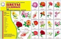 Демонстрационные карточки "Цветы садовые" - «globural.ru» - Ростов-на-Дону