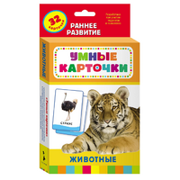Карточки Домана "Животные" - «globural.ru» - Ростов-на-Дону