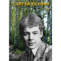 DVD Сергей Есенин - «globural.ru» - Ростов-на-Дону