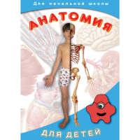 DVD  Анатомия для детей - «globural.ru» - Ростов-на-Дону