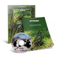 Электронное наглядное пособие «Птицы» - «globural.ru» - Ростов-на-Дону