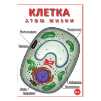 DVD Клетка - "атом жизни" - «globural.ru» - Ростов-на-Дону