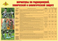 Плакат "Нормативы по радиационной, химической и биологической защите" - «globural.ru» - Ростов-на-Дону