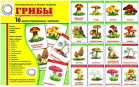 Демонстрационные карточки  "Грибы съедобные и не съедобные" - «globural.ru» - Ростов-на-Дону