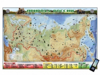 Электронно-информационный (маркерный) стенд "Природа России" адаптивный, с сенсорным пультом управления и планшетом со шрифтом Брайля (география) - «globural.ru» - Ростов-на-Дону