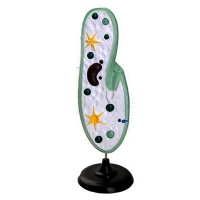 Модель инфузории-туфельки - «globural.ru» - Ростов-на-Дону