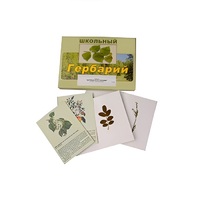 Гербарий "Деревья и кустарники" (22 вида, с иллюстрациями) - «globural.ru» - Ростов-на-Дону