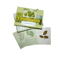 Гербарий "Дикорастущие растения" (30 видов, с иллюстрациями) - «globural.ru» - Ростов-на-Дону