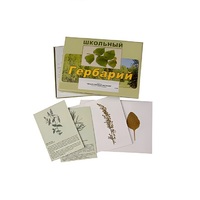Гербарий "Лекарственные растения" (22 вида, с иллюстрациями) - «globural.ru» - Ростов-на-Дону