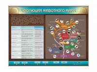 Интерактивный электрифицированный стенд "Эволюция животного мира" - «globural.ru» - Ростов-на-Дону