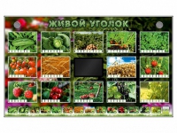 Комплект оборудования "Живой уголок" (растения) - «globural.ru» - Ростов-на-Дону