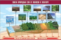 Таблица демонстрационная "Смена природных зон от полюсов к экватору" (винил 70x100) - «globural.ru» - Ростов-на-Дону