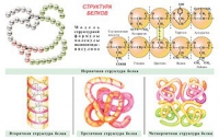 Плакаты и таблицы по общей химии - «globural.ru» - Ростов-на-Дону