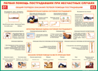  Таблица Общий порядок оказания первой помощи пострадавшим 1000*1400 винил	 - «globural.ru» - Ростов-на-Дону