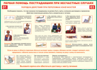 Таблица Порядок действий при переломах конечностей 1000*1400 винил - «globural.ru» - Ростов-на-Дону