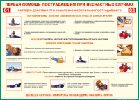 Таблица Порядок действий при коматозном состоянии пострадавшего 1000*1400 винил - «globural.ru» - Ростов-на-Дону