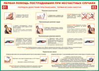 Таблица Порядок действий при ранениях и термических ожогах	 1000*1400 винил - «globural.ru» - Ростов-на-Дону