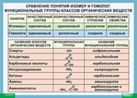 Химия. Сравнение понятий изомер и гомолог. Функциональные группы классов органических веществ (винил) - «globural.ru» - Ростов-на-Дону
