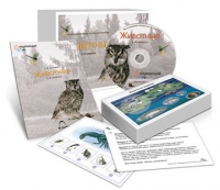 Комбинированное наглядное пособие «Животные» - «globural.ru» - Ростов-на-Дону