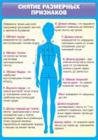 Стенд "Снятие мерок" (вариант 2) - «globural.ru» - Ростов-на-Дону