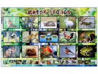 Комплект оборудования "Живой уголок" (животные) с тифлопереводом и сурдокомментариями - «globural.ru» - Ростов-на-Дону