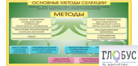 Стенд "Методы селекции и биотехнологии" - «globural.ru» - Ростов-на-Дону