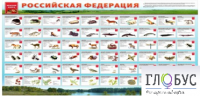 Стенд "Красная книга РФ" - «globural.ru» - Ростов-на-Дону