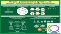 Стенд "Формы размножения организмов" - «globural.ru» - Ростов-на-Дону