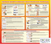 Стенд "Первая доврачебная неотложная помощь" - «globural.ru» - Ростов-на-Дону