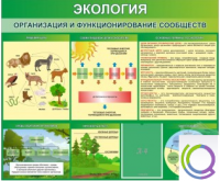 Стенд "Экология. Организация и функционирование сообществ" - «globural.ru» - Ростов-на-Дону