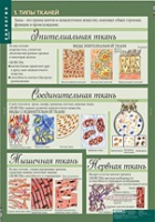 Биология 8-9 класс. Человек. (комплект таблиц) - «globural.ru» - Ростов-на-Дону