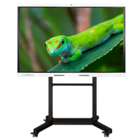 Интерактивный комплекс Geckotouch ​​​​​​​86RK - «globural.ru» - Ростов-на-Дону