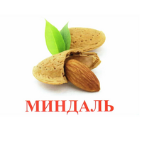 Карточки Домана "Орехи-Ягоды-2" - «globural.ru» - Ростов-на-Дону